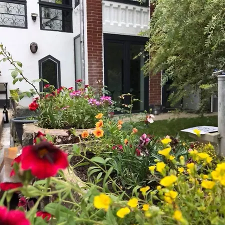 אכסניה Passpartout טימישוארה