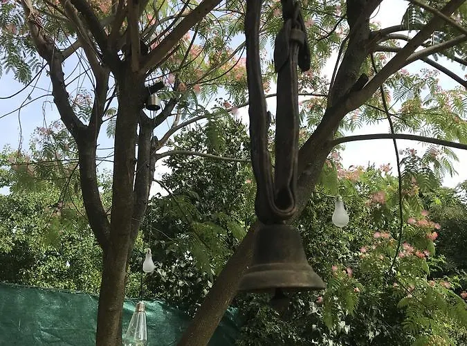 Passpartout טימישוארה