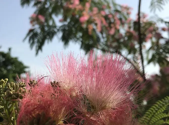 Vandrarhem Passpartout Timişoara