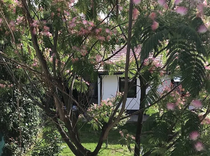 Passpartout Vandrarhem Timişoara