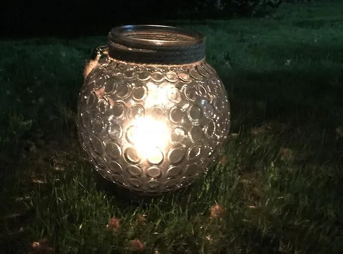 Passpartout * Timişoara