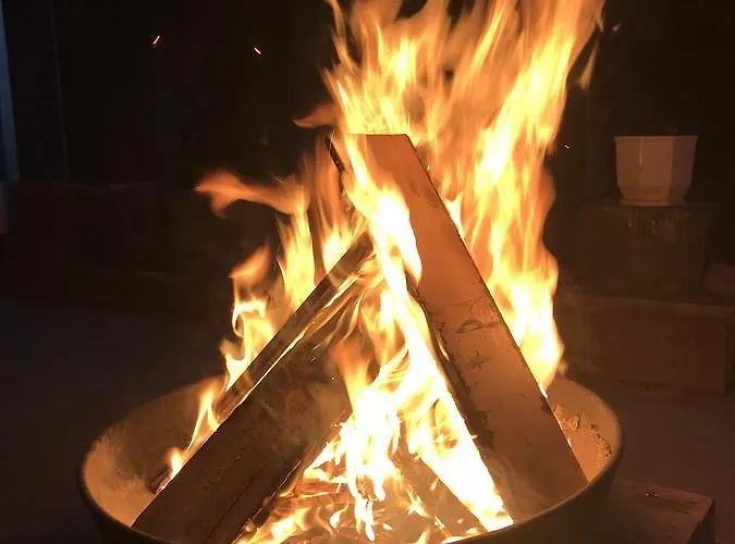 Passpartout טימישוארה