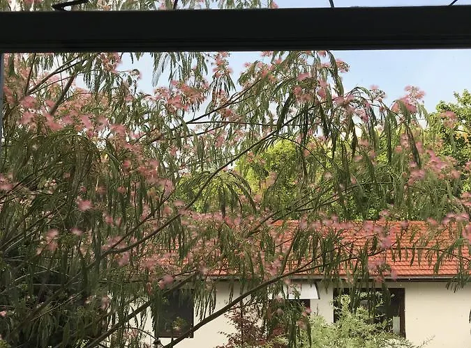 Vandrarhem Passpartout