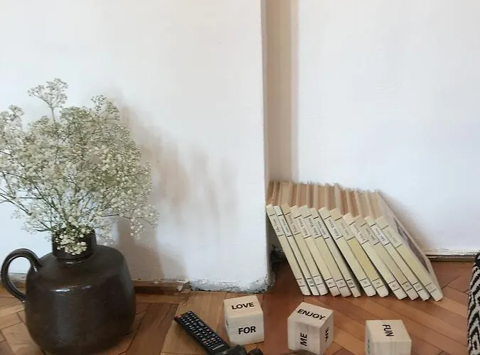 Passpartout טימישוארה