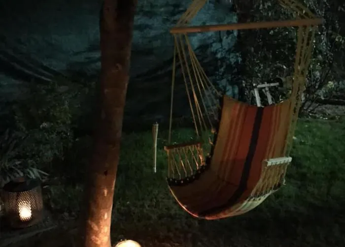 Passpartout * Timişoara