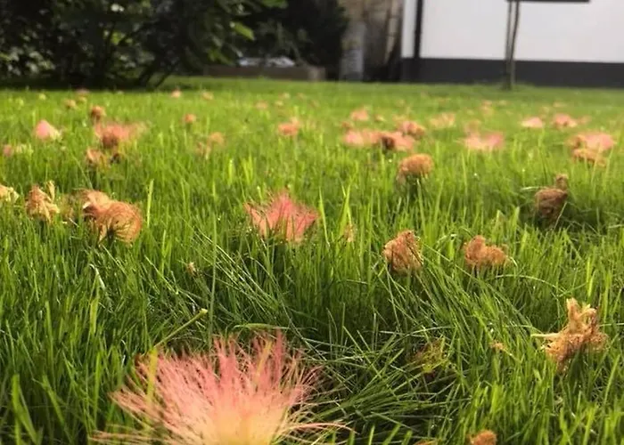 Passpartout אכסניה טימישוארה