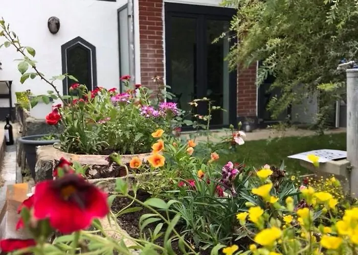 Vandrarhem Passpartout Timişoara