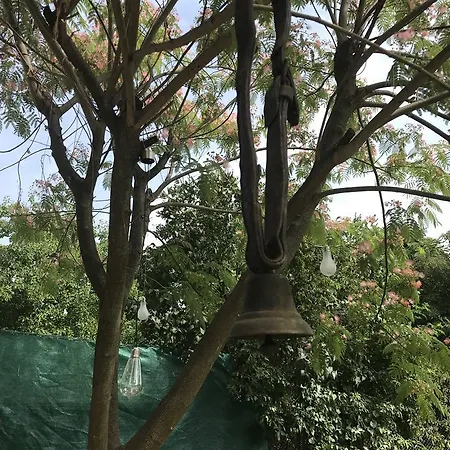 Passpartout Timişoara