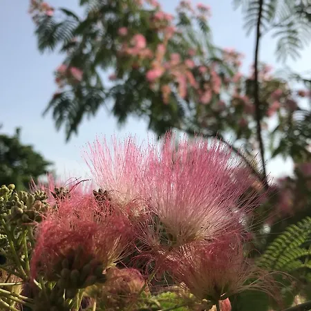 Albergue Passpartout Timişoara