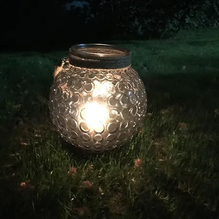 Passpartout * Timişoara