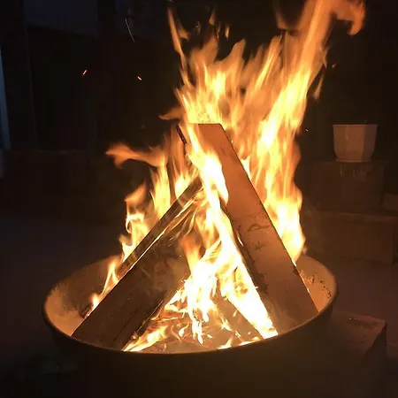 Passpartout Timişoara