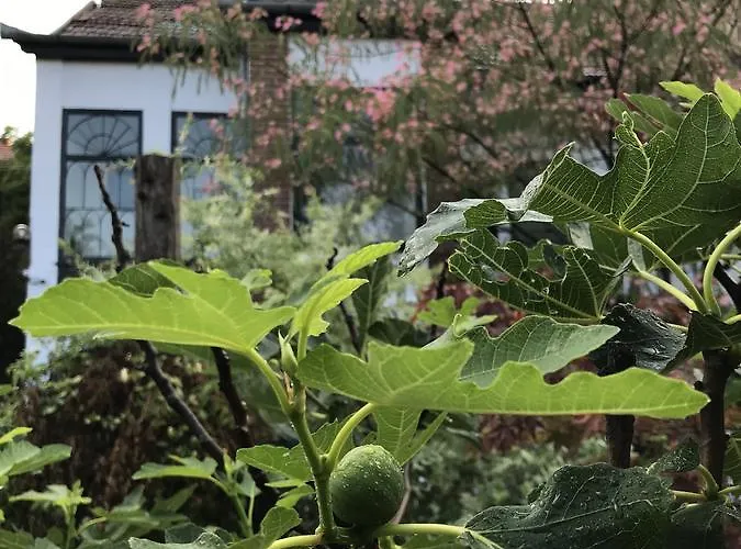 Passpartout Albergue Timişoara