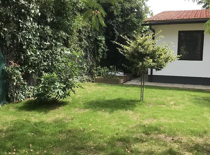 Albergue Passpartout Timişoara