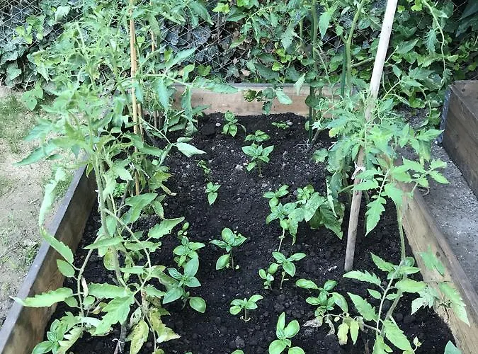 Albergue Passpartout *