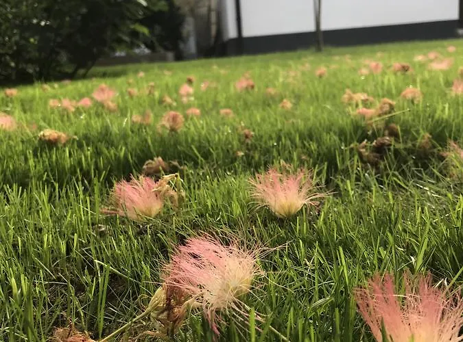 Albergue Passpartout